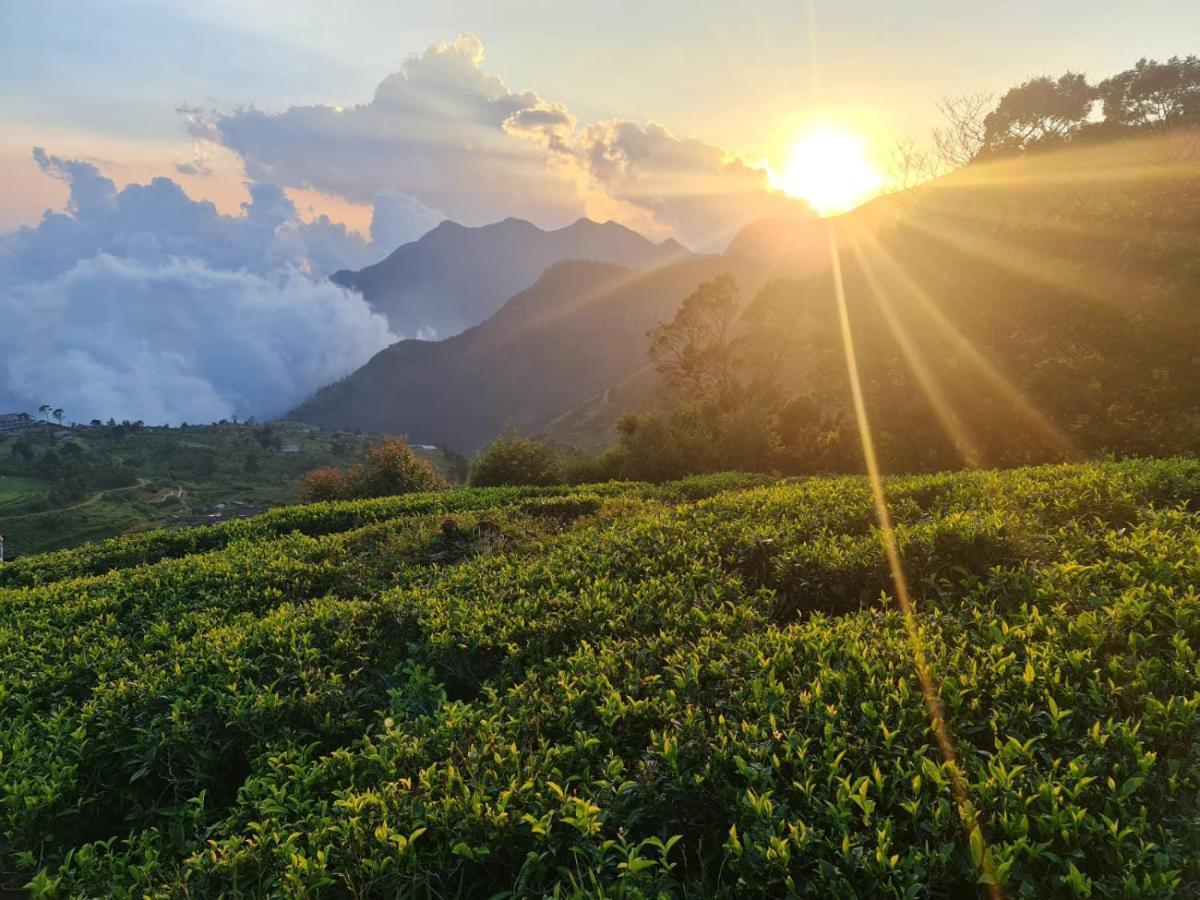 Hill Safari - Tea Estate Villa Ohiya Εξωτερικό φωτογραφία