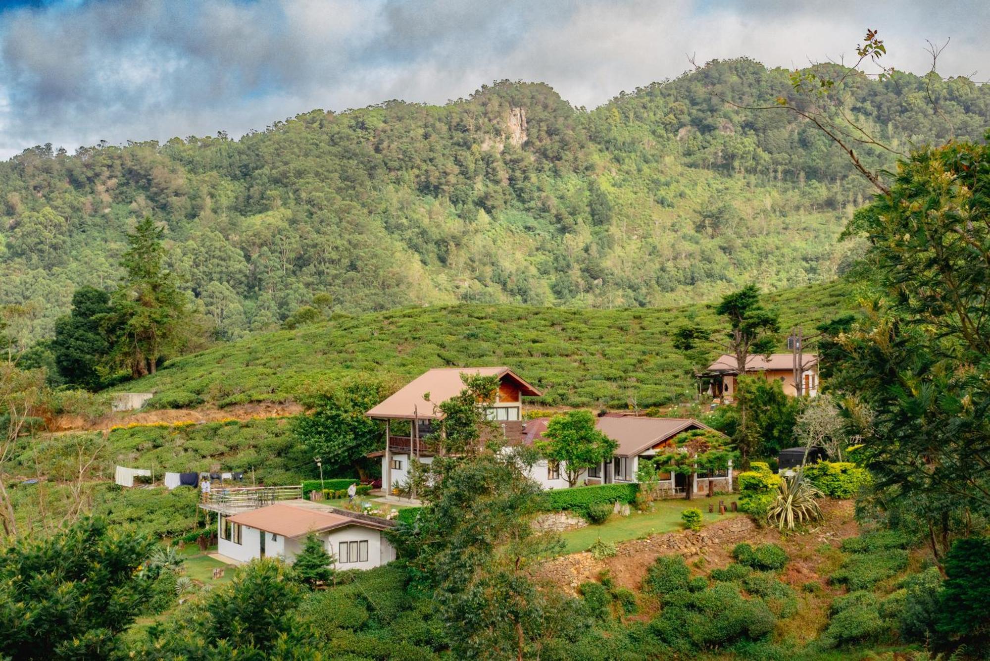 Hill Safari - Tea Estate Villa Ohiya Εξωτερικό φωτογραφία