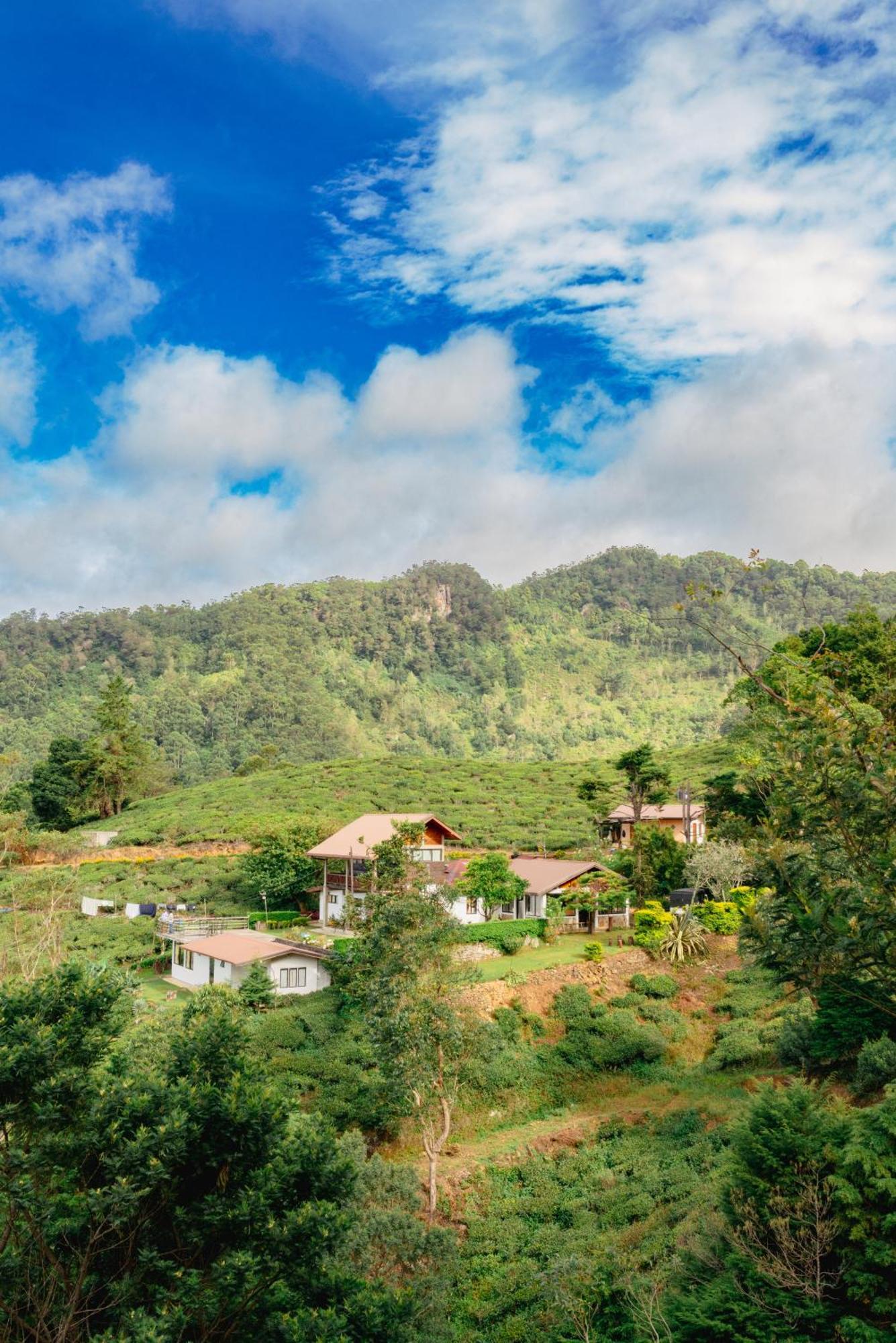 Hill Safari - Tea Estate Villa Ohiya Εξωτερικό φωτογραφία