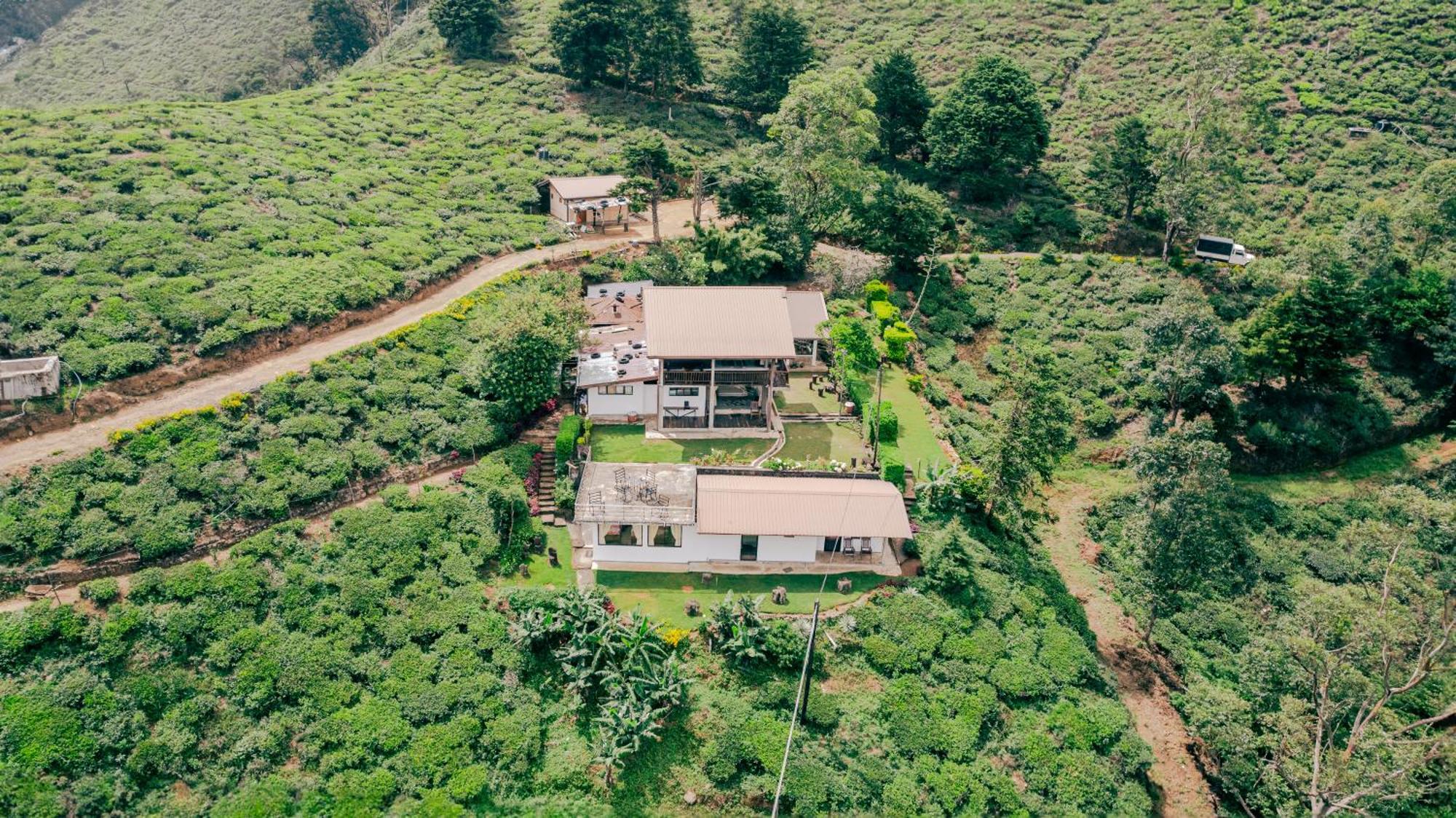 Hill Safari - Tea Estate Villa Ohiya Εξωτερικό φωτογραφία