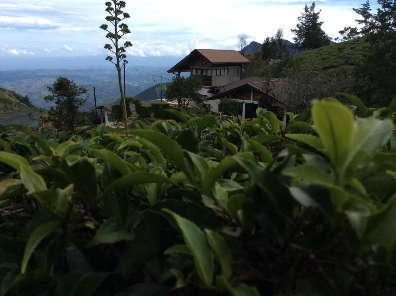 Hill Safari - Tea Estate Villa Ohiya Εξωτερικό φωτογραφία
